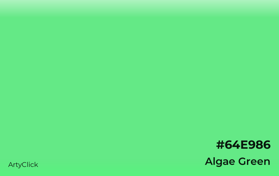 Algae Green #64E986