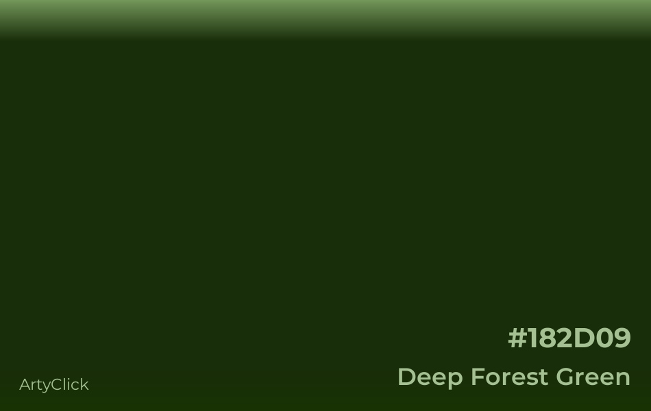 Deep Forest Green #182D09