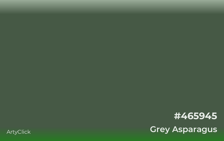 Grey Asparagus Color