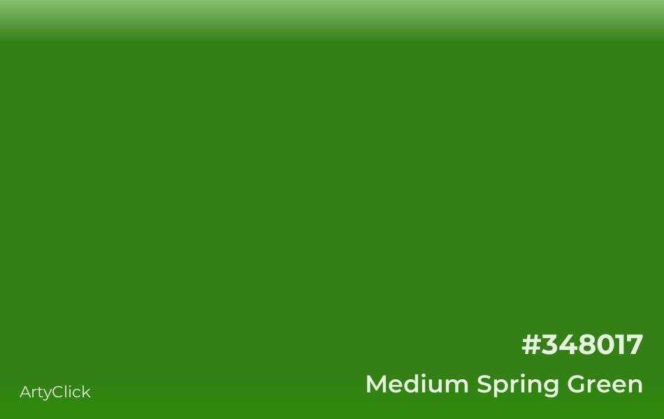 Medium Spring Green #348017